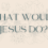 What Would Jesus Do?